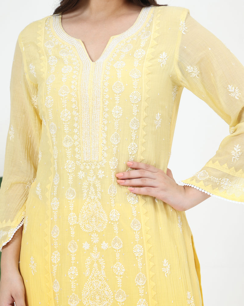 Ziya Mal Chanderi Kurta Set