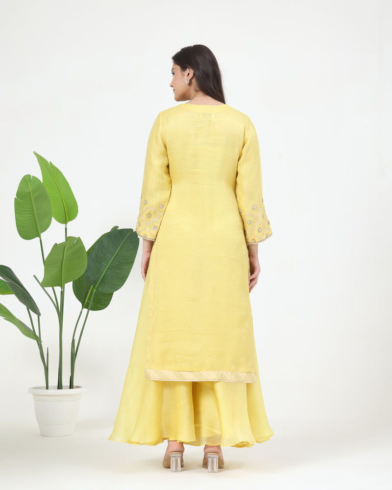 Zarin Pure Organza Kurta Sharara Set