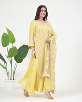 Zarin Pure Organza Kurta Sharara Set