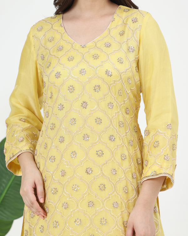 Zarin Pure Organza Kurta Sharara Set