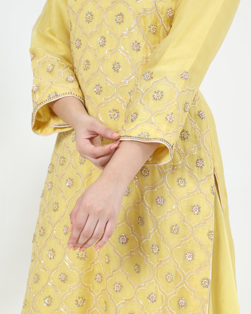 Zarin Pure Organza Kurta Sharara Set