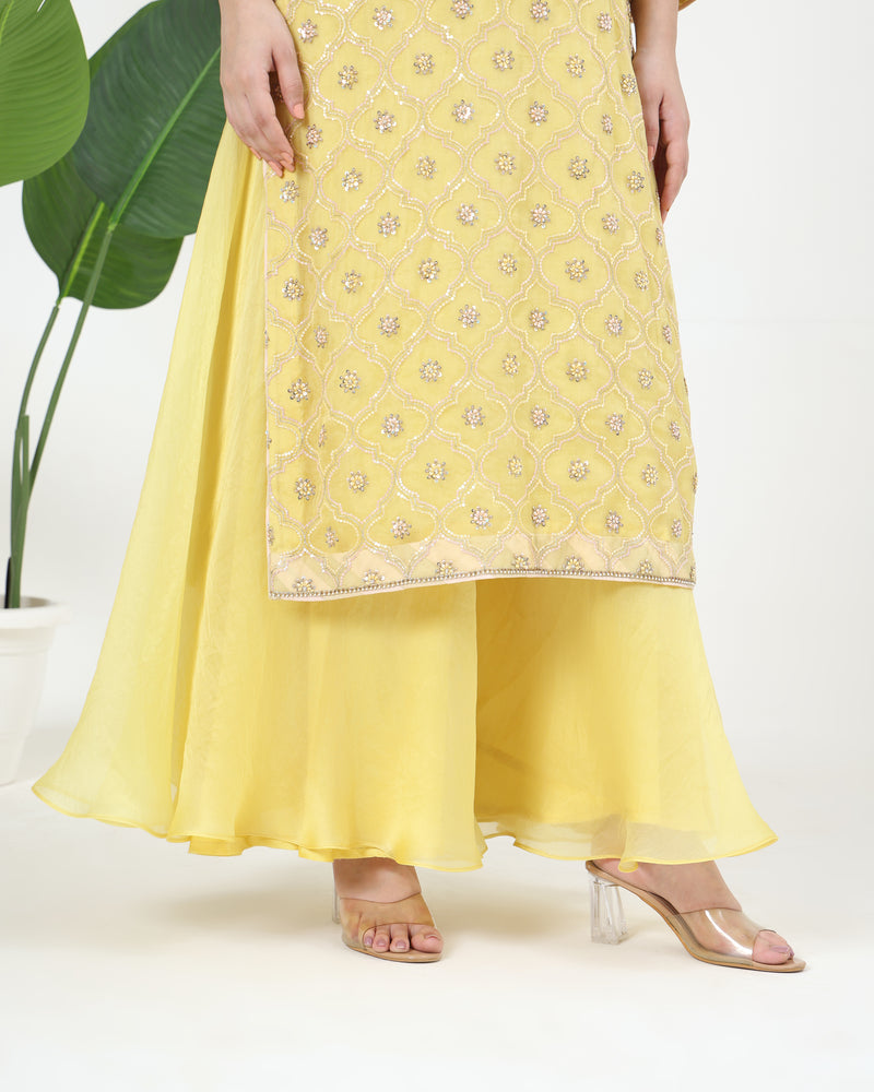 Zarin Pure Organza Kurta Sharara Set