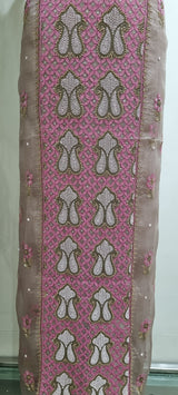 Pure Organza 2 Piece Kurta Set