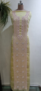 Pure Organza 2 Piece Kurta Set