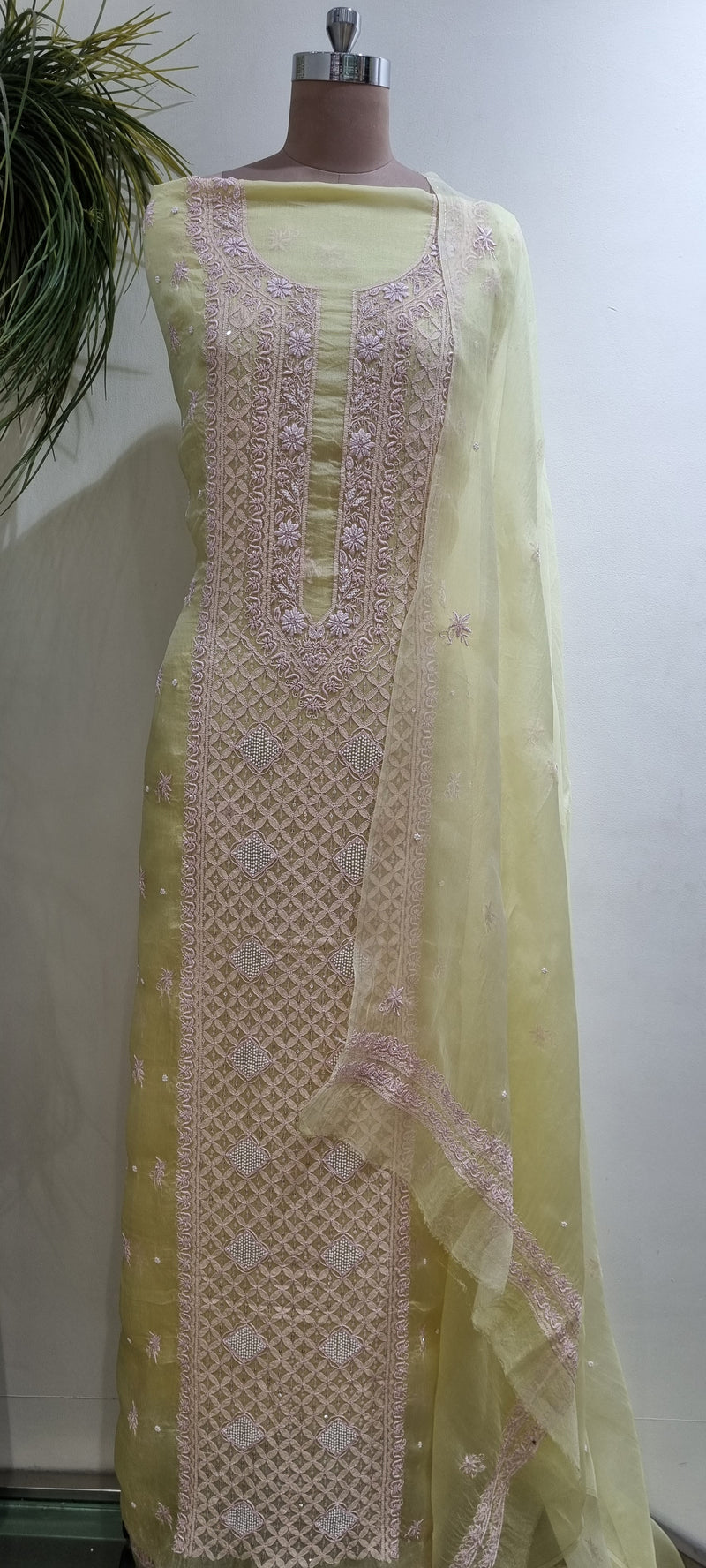 Pure Organza 2 Piece Kurta Set