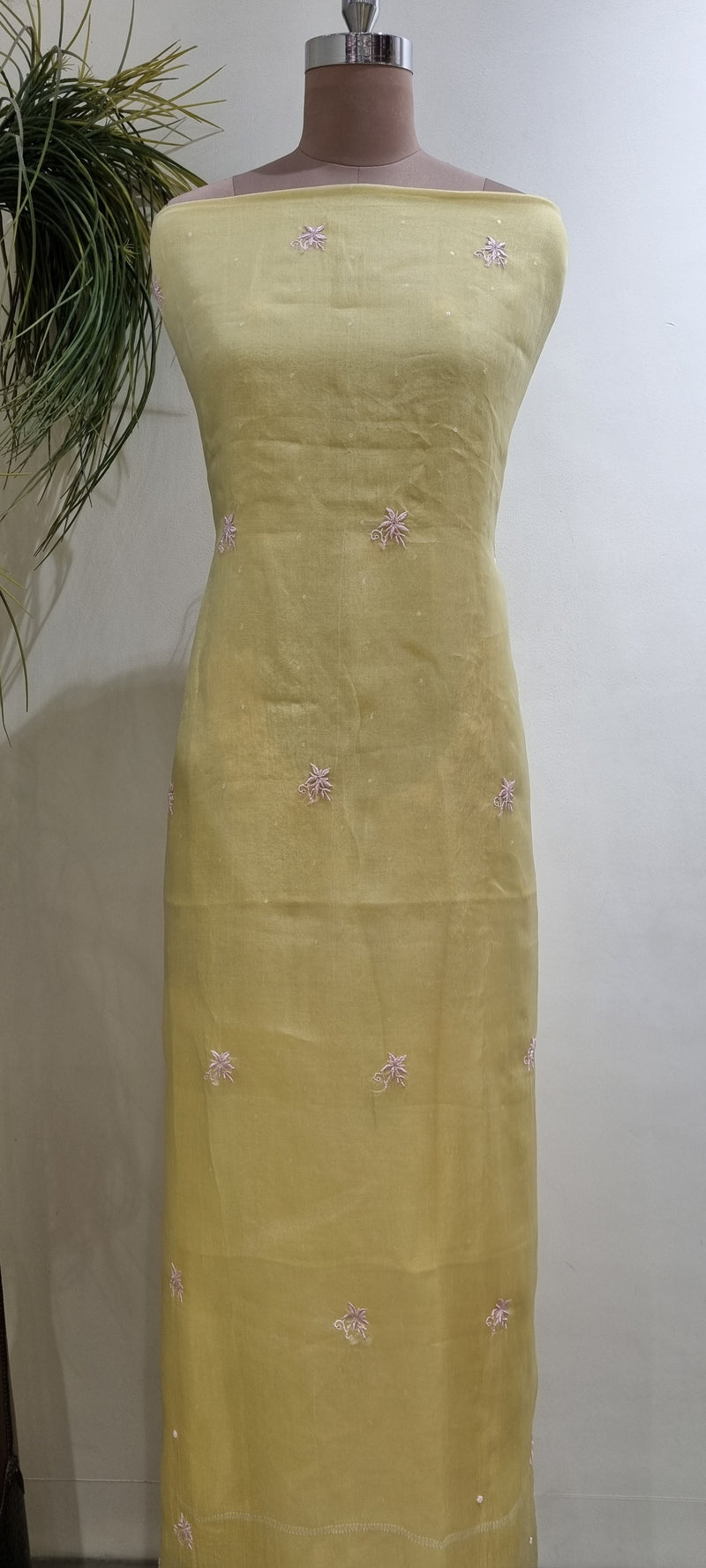 Pure Organza 2 Piece Kurta Set