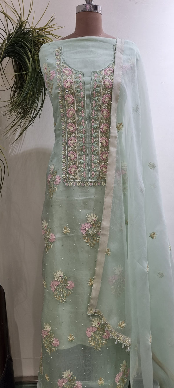 Pure Organza 2 Piece Kurta Set