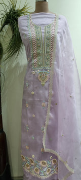 Pure Organza 2 Piece Kurta Set
